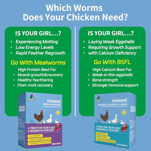 10LB Dried Black Soldier Fly Larvae for Chickens | Factory Direct-No Middle Man, 4% Calcium for Strong Eggshells, 43% Protein Natural Treats for Vibrant Feathers - size: 10 Pound (Pack of 1)