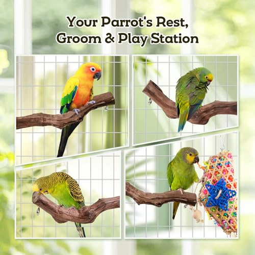 Bird Toys, Parakeet Foraging Toys, Hanging Chewing Toys with Natural Wooden Perches, Bird Cage Accessories, Suitable for Parakeets, Cockatiels, Budgies, Lovebirds & More - color: 5 pieces bamboo