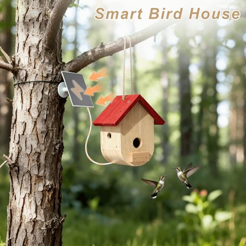 Hummingbird House with Camera Solar Powered - style: Smart Hummingbird House