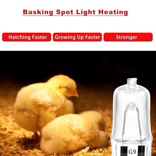 3 Pack Replacement G9 Basking Spot Heat Lamp for Chickens, Tiny Clear Bulbs Beads (75 Watt)