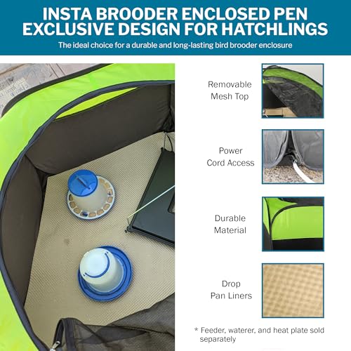 Insta Brooder™ for Hatchlings, Chicken Pop Up Playpen, 10.5 x 10 x 4 inches