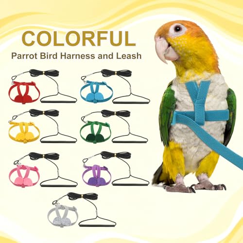 Bird Harness Leash, Adjustable Pet Parrot Bird Harness and Leash Lightweight Anti-Bite Flight Training Rope with Cute Wing, (Blue, L), Intended for Parrots/Pigeons/Budgies - color: Blue, size: Large