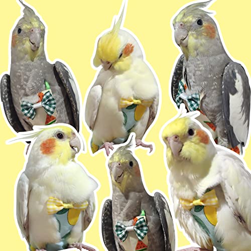VANFAVORI Bird Diaper Flight Suit with 80-inch Leash Rope, M Size, Yellow | Includes Flight Suit, 80-inch Elastic Leash and 1 Cotton Pad. For Bird Parrot Cockatiel, Conure and Similar Parrot (80-105 g)