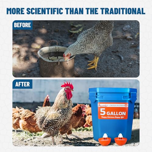 12 Pack Large Automatic Chicken Waterer Cups | Chicken Water Feeder | Poultry Water Feeder Kit | Tee Fittings Poultry Feeder Cups for Chicks, Duck, Turkey, Goose