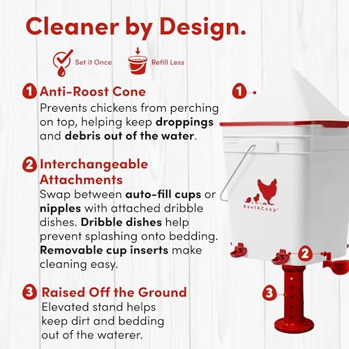 RentACoop Chicken 25lb No-Waste Feeder & 5 Gallon Automatic Waterer Set