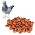8mm Pigeon Leg Bands 0-100 Numbers Chicken Identification Leg Bands for Bantam Finch Dove Lovebird Coturnix Quail (Brown) - color: Brown