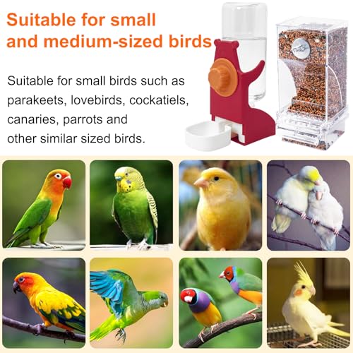 VCEPJH No Mess Bird Feeder and Water Dispenser Automatic Parrot Feeder Cage Accessories Orange Bird Drinker Parakeet Seed Dispenser with Cage Perch for Lovebirds Conures Budgies Canary Finch (Red) - color: Red