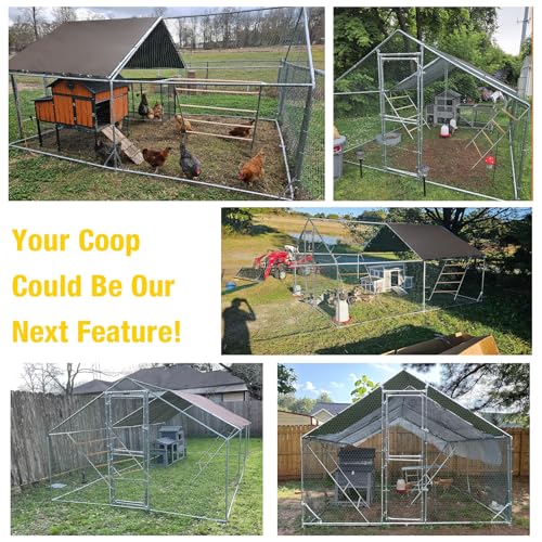 Aivituvin Extra Large Chicken Coop Metal Chicken Run for 10–20 Chickens, Walk-in Outdoor Poultry Enclosure with Roosting Perch & Anti-UV Cover for Yard, Ducks, Rabbits & Small Animals
