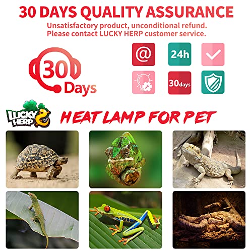 LUCKY HERP 50W Reptile Heat Lamp Bulbs 2 Pack, Reptiles & Amphibians Infrared Basking Spot Lamp, Heat Light Bulb for Turtle, Bearded Dragon, Lizard - color: Infrared Basking Light Bulb, size: 50 Watts