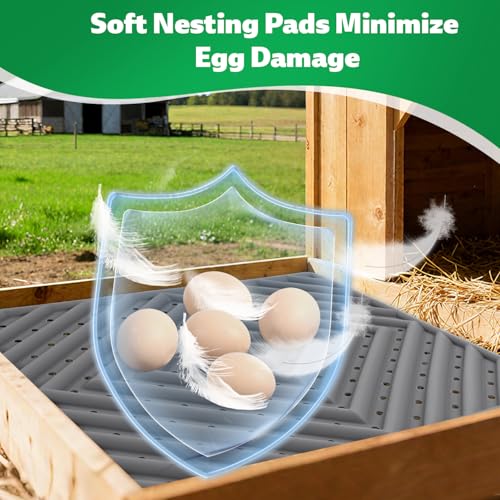 Chicken Nesting Pads for Chicken Coop, Washable Laying Pads for Nesting Box, Reusable Hen Nesting Box Pads for Coop Bedding, Easy to Clean, 12" x 12", Grey, 3 Pack - color: Grey