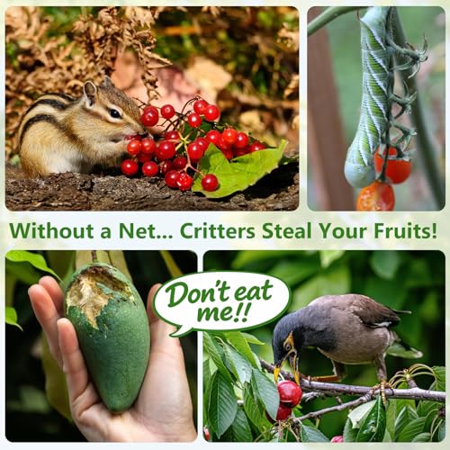 Jevrench 2-Pack 8 x 8 ft Garden Netting Bags with Zipper and Drawstring | Bird Netting for Garden Protection, Plant Covers for Blueberry Bushes and Fruit Trees, Designed for Easy Picking - size: 8 x 8ft – 2 Pack