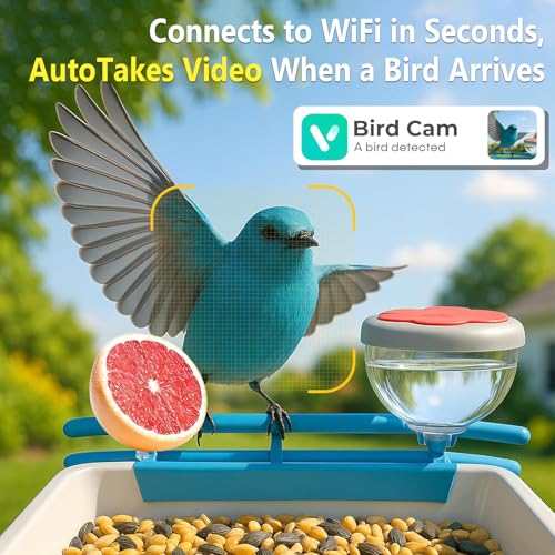Solar Powered Bird Feeder with Camera: One Full Charge Lasts for Weeks