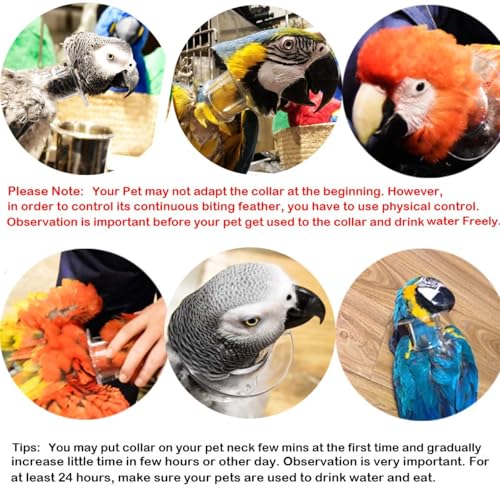 QBLEEV Parrot Anti-bite Collar, Anti-Grab Feather Lick Neck Collars | Stress-free recovery from injuries post-surgery, protective wound healing recovery collars fit lovebird macaws budgies - size: M
