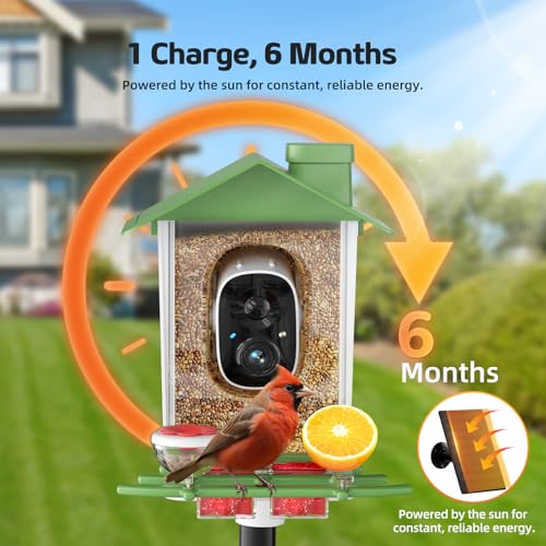 Bird Feeder with Camera, 2K HD Smart Birds Feeder with Solar Panel, AI Bird-Recognition, Instant Motion Alerts, Auto Capture BirdVideos, Outdoor Birdhouse Feeder Gift for Bird Lovers - color: Green