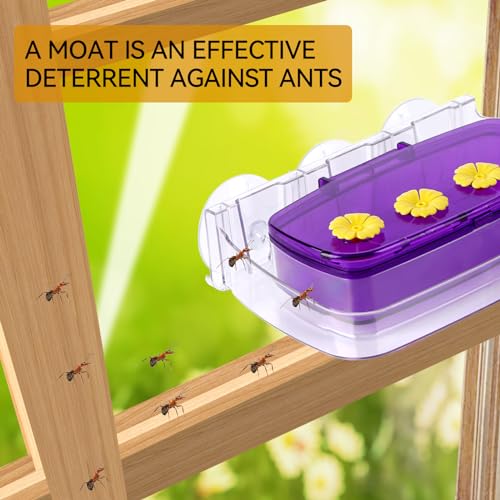 2 Pack Window Hummingbird Feeder with Strong Suction Cup, Plastic Hummingbird Feeders for Outdoors, Built-in Moat,Easy to Clean and Refil (10oz) (2, Purple) - color: Purple, size: 2 Pack