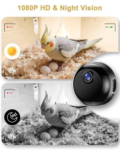 Parakeet Nesting Box,Bird House with Camera,Natural Bird Nest Box with 1080P Wi-Fi Camera, Visual Breeding Record for Pet Bird Budgies, Parrots, Finches, Canaries