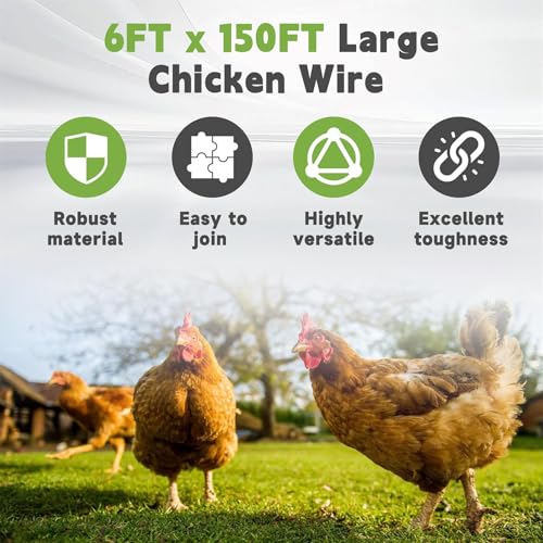 6FTx150FT Chicken Wire Netting 2IN Galvanized Wire Mesh Hexagonal for Poultry Garden Fencing Barrier - size: 6FTx150FT