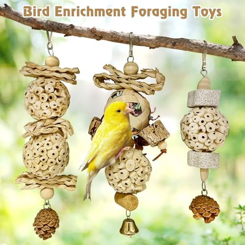 BNOSDM Hanging Bird Toy Sola Balls 3PCS Parrot Shredder Balls Natural Parakeet Foraging Toy Wood Bird Cage Chew Toys for Cockatiel, Budgie, Sun Conure, Quakers, Lovebirds (A) - color: White