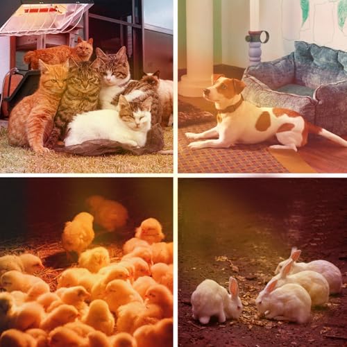Chicken Coop Heat Lamp 250W Brooder Heating Plate for Chicks Hanging Light Heated Adjustable Temp with Anti-Fall Aluminum Alloy Lamp Shade Suitable for Poultry, Livestock & Small Pets - color: Black