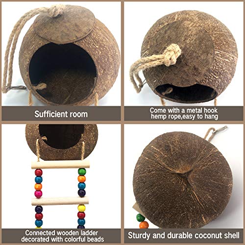 Hanging Coconut Birds House with Ladder, Natural Coconut Bird Nest | Coconut Hide Birds Swing Toys for Parrot Parakeet Lovebird Finch Canary for Hamster, Bird Cage Accessories, Pet Bird Supply