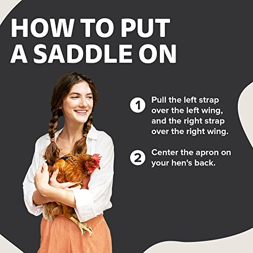 Hen Apron/Saddle, Single Strap, Small, Black - color: Black, size: Small
