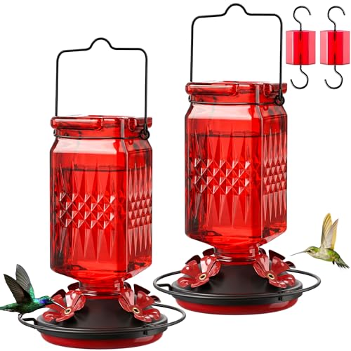 20oz Glass Hummingbird Feeder for Outdoors Hanging, Bird Nectar Feeder with 4 Bee Guard Flower-Shaped Feeding Ports & Built-in Ant Moat, for Bird Lover, Red (2 Pack) - color: Red 2 Pack