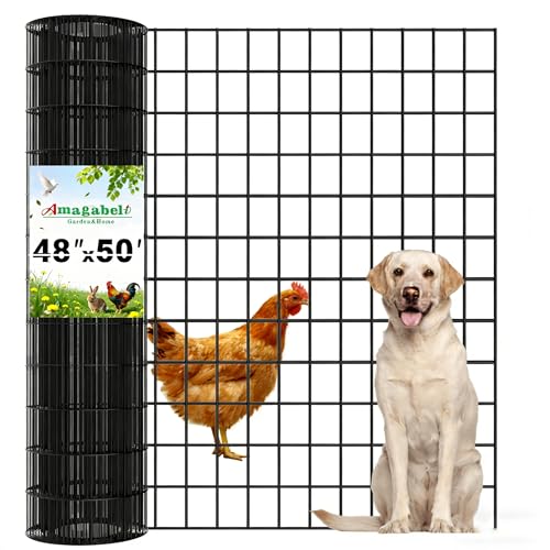 Amagabeli Black PVC Coated Welded Wire Fence 48inch x 50ft 2 Inch x 3 Inch 16 Gauge Chicken Wire Mesh Roll Metal Garden Border Fencing for Yard Vegetable Plant Protection Poultry Netting Cage - size: 2''x3'' 16GA 48''x50'