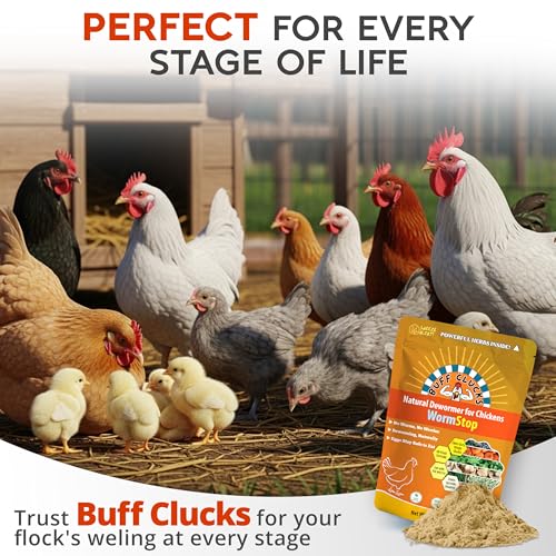 WormStop Natural Chicken Dewormer Powder – All-Natural Herbal Blend for Daily Wellness - Chicken Wormer is Safe for Eggs & All Ages - Garlic, Pumpkin Seed, Wormwood - USA (8 oz)