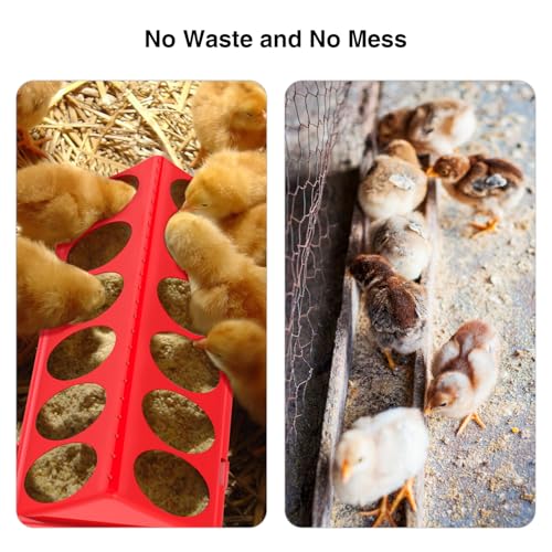 Chick Feeder and Waterer Kit - Baby Chicken Supplies with Chicks Perch, Plastic Feeder Trough and 1.2L Waterer, Chicken Starter Kit for Coop and Brooder for Small Poultry Ducks Quail - color: Red 1