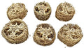 Bonka Bird Toys 3404 Pk6 Small Loofah 2" Diameter by 1.50" Thick Slices Medium Parrot Chew Foot Talon Cage Toy, Conure, Quaker, Ringneck, and Similar