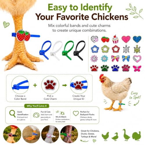 Adjustable Chicken Leg Bands with Charms, Reusable Quick-Release Tags | 40 Reusable Leg Bands with Quick-Release Buttons and 20 Charms for Chickens, Ducks, Geese & Turkeys, Includes Storage Box