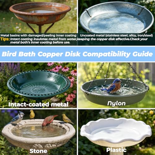 Bird Bath Copper Disk 99.9% Pure Copper Release Cu Clean Water Outdoor Disc | Diameter 4", 0.6mm Triple-Point, Release Boost Cu+, All-Season Purification, Outdoor Bowl Birdbath, Garden Backyard Disc - color: Pure Copper Disk