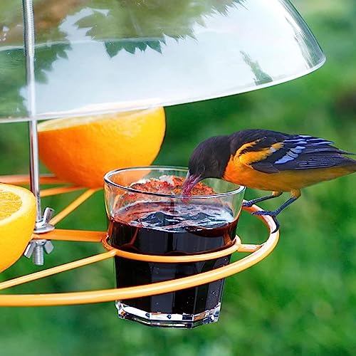 CLEAR Bird Feeder Protective Dome Cover, Prevent Squirrel, Large Diameter WeatherGuard, Hanging Bird Seeds Protector with for Hanging Bird Feeders, for Outdoor