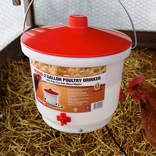Farm Innovators HB-60P Thermostatically Controlled Heated 2 Gallon Plastic Outdoor Year Round Poultry Chicken Water Bucket Drinker, White/Red | Thermostatically controlled to keep water from freezing, side mounted drip-free/freeze-free nipples for up to 1