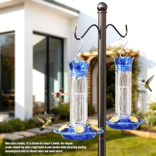 Birdream 10oz Hummingbird Feeders for Outdoors, Plastic Hummingbird Feeder with 5 Bee Guard Feeding Ports & Cleaning Brush, Gift Box Design, Leak Proof, Built-in Ant Moat, Blue - color: Blue, size: 1 Pack