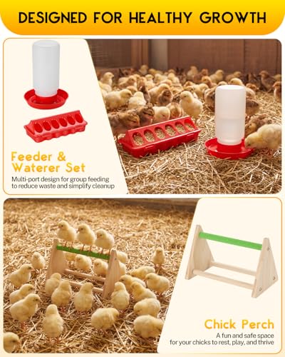 Magicfly Brooder Box for Chick, Chicken Brooder Box Holds up to 15 Chicks | Pop-Up Brooder Box for with Dual Doors, Chicks Starter Kit Includes Chicken Feeder, Waterer, Perch - color: Basic Starter Kit