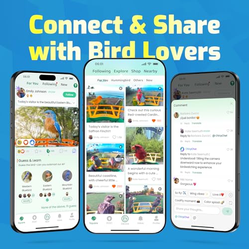 Bird Feeder with Camera, Smart Bird House with Cam for Outside, 2K HD Auto Record Video, AI Identification & Instant Alerts, Solar Powered, Bird Watching Gifts for Family and Birdlovers | 2K HD Auto Record Video, AI Identification & Instant Alerts, Solar