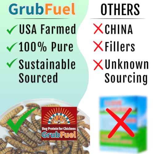 Buff Clucks Grub Fuel Black Soldier Fly Larvae for Chickens, Chick Feed 1lb | Chicken Snack for Poultry, Chicken Treats for Laying Hens, Dried BSFL Rich in Protein, Calcium, Fiber, Essential Fatty Acids - size: 1 Pound (Pack of 1)