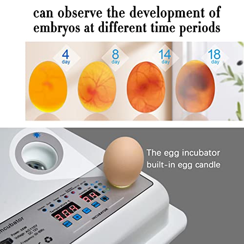 Incubators for Hatching Eggs, Egg Incubator with Automatic Egg Turning and Humidity Control, Egg Incubator for Chicken Quail Duck Pigeon Eggs(36 Eggs)