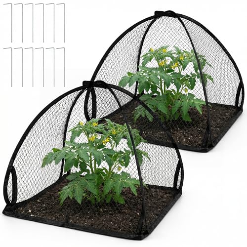 DECOHS 2 Pcs Pop-Up Mesh Plant Cover Tent, 22 x 22 x 22 Inch Garden Net Cage Guard Cover, Plant Protector Enclosure with 12 Ground Stakes for Protecting Plants Vegetable Fruit from Birds Insects - color: 22 x 22 x 22 inch