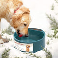 Heated Water Bowl for Dogs, Heated Dog Bowl for Cats Birds Chickens Water Heater, Outdoor Pet Heating Dish Provides Drinkable Water in Frozon Winter, 2.2L - size: 2.2L