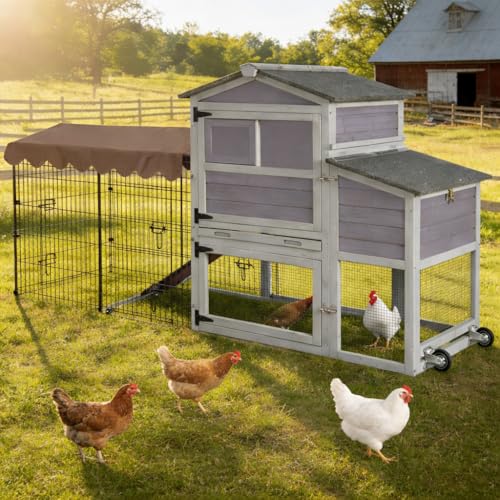 Large Mobile Chicken Coop with Run, 79" Outdoor Wooden Poultry Cage on Wheels, All-Steel Frame Hen House, Waterproof Roof, Nesting Box, for 4-6 Chickens - color: Grey (AIR7008)
