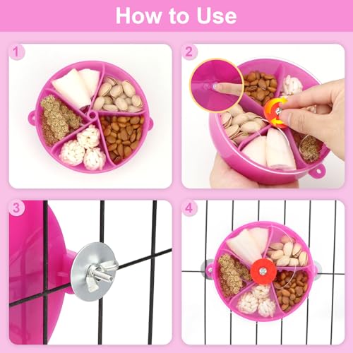 Bird Creative Foraging System Wheel Seed Food Ball Rotate Training Toy for Small and Medium Parrots Parakeet Cockatiel Conure (Purple) - color: Purple