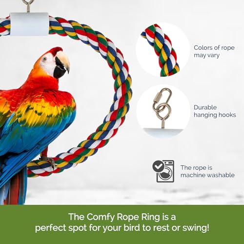 JW Pet Swing N' Perch, Large - size: Large