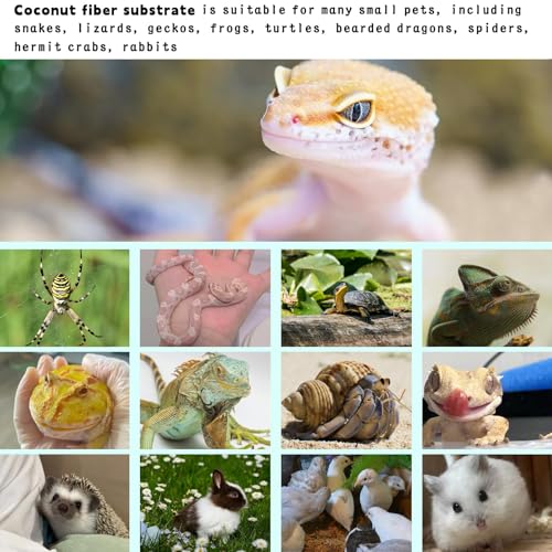 Hamiledyi 35.4×15.7" Reptile Carpet Coconut Fiber Substrate Large Lizard Cage Mat Coco Fiber Liner Snake Bedding Natual Coconut Fiber Carpet for Bearded Dragon Turtles Iguana Tortoises - size: 15.7x35.4inch
