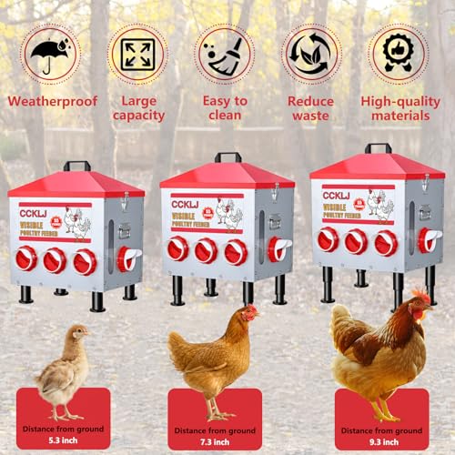 8-Port Poultry Feeder for Backyard Flocks – Holds 55 LBS, Stops Pecking Order Bullying, Adjustable Height, Galvanized Steel & Stainless Steel