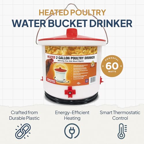Farm Innovators 3 Pack Heated Chicken Waterer, Poultry Drinker Bucket, 2 Gallon - color: 2 Gallon, size: 3 Pack