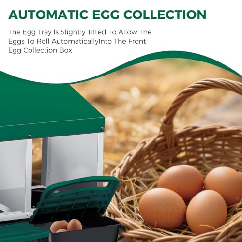 4 Hole Chicken Nesting Boxes, Weatherproof Galvanized Steel Chicken Egg Laying Box with Automatic Rollout Egg Collection, 2-in-1 Handle Perch, Easy Clean & Quick Assemble for Chicken Coop - color: Green, size: 4 holes 2 layers