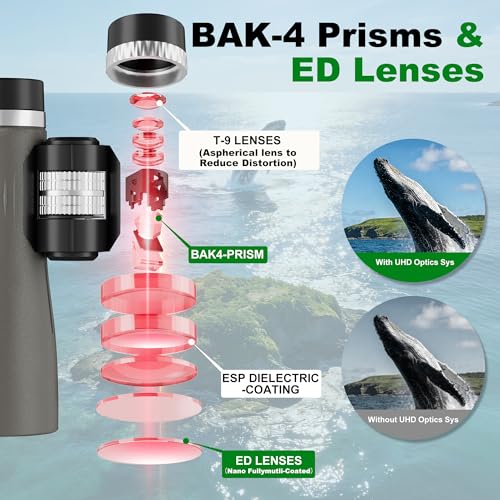 MLight 12X50 Professional Binoculars for Adults, High Powered Roof Binoculars with BAK4 Prism, HD FMC Lens, Rubber Armor, Waterproof, Large View, Low Light Vision, for Bird Watching, Hunting, Outdoor. - color: 12X50 (BAK4)