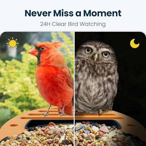Smart Bird Feeder with Camera, Green | 2.5K UHD, AI Bird Species Identification, Solar Powered, 2.4G WiFi, IP66 Waterproof Outdoor, Instant Alerts, Gift - color: Green